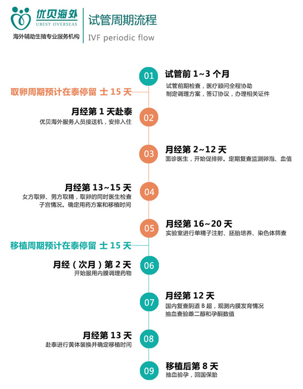 试管婴儿程序对后代智力的潜在影响：基因学、环境和治疗方法的作用 (试管婴儿程序步骤)